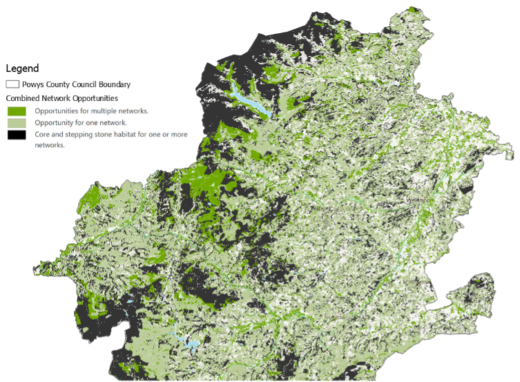 Map of North Powys combined network opportunities