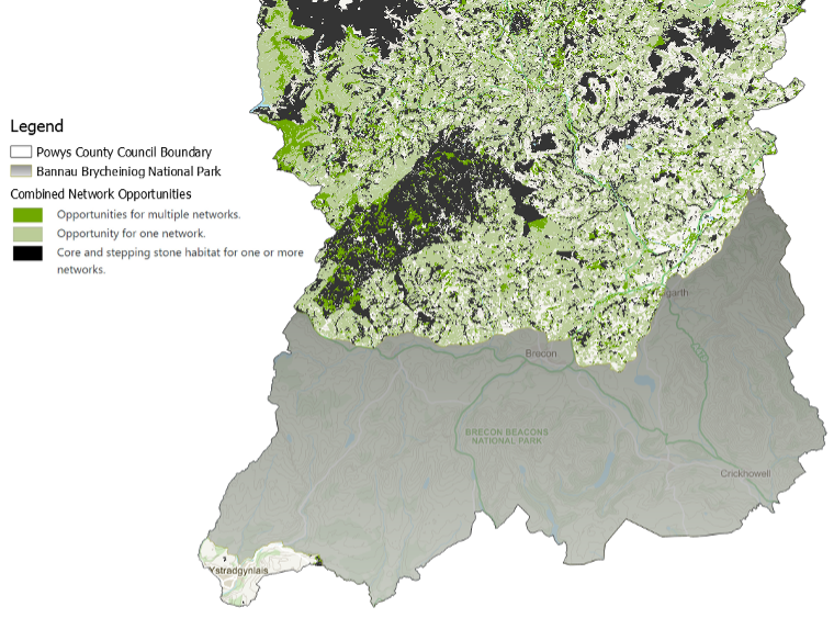 Map of South Powys combined network opportunities