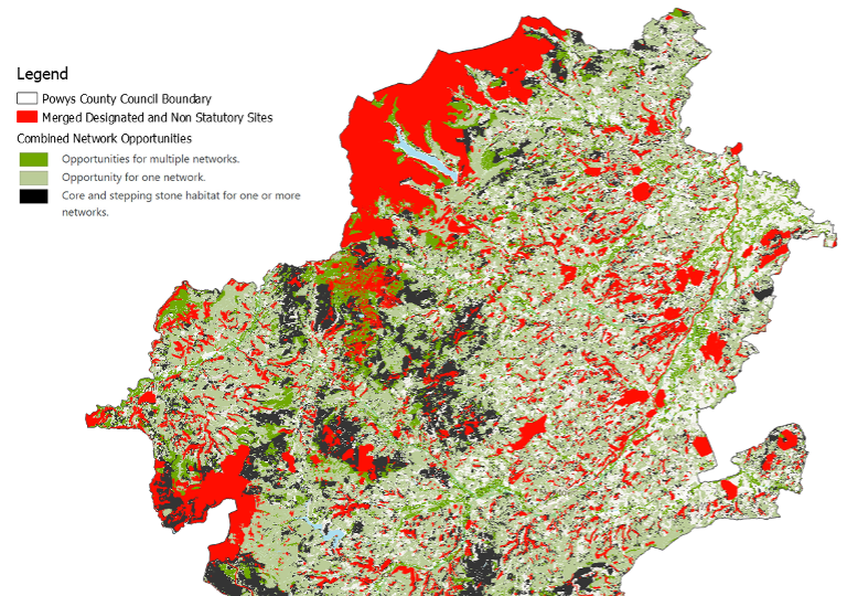 Map of Mid Powys Opportunities  - combined network and protected sites