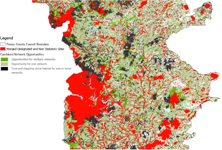 Map of North Powys Opportunities  - combined network and protected sites