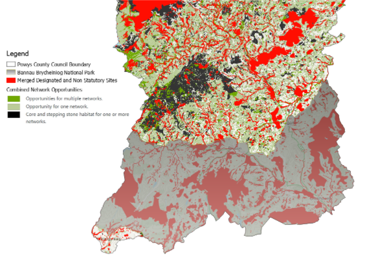 Map of South Powys Opportunities  - combined network and protected sites